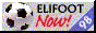 Elif98dwn.gif (2538 bytes)