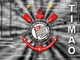 t_timao2.jpg (23361 bytes)