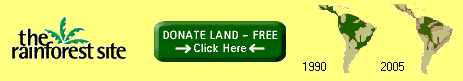 rain.gif (4888 bytes)